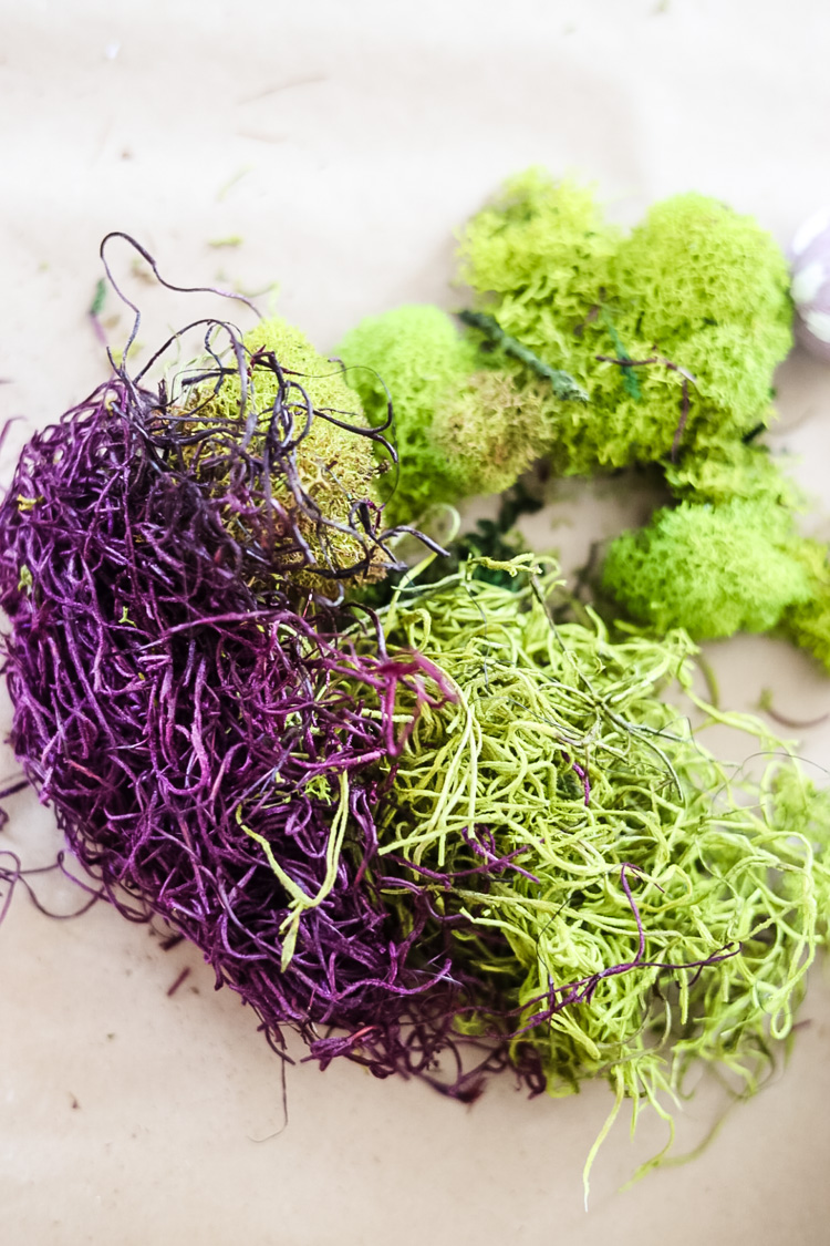purple and green moss