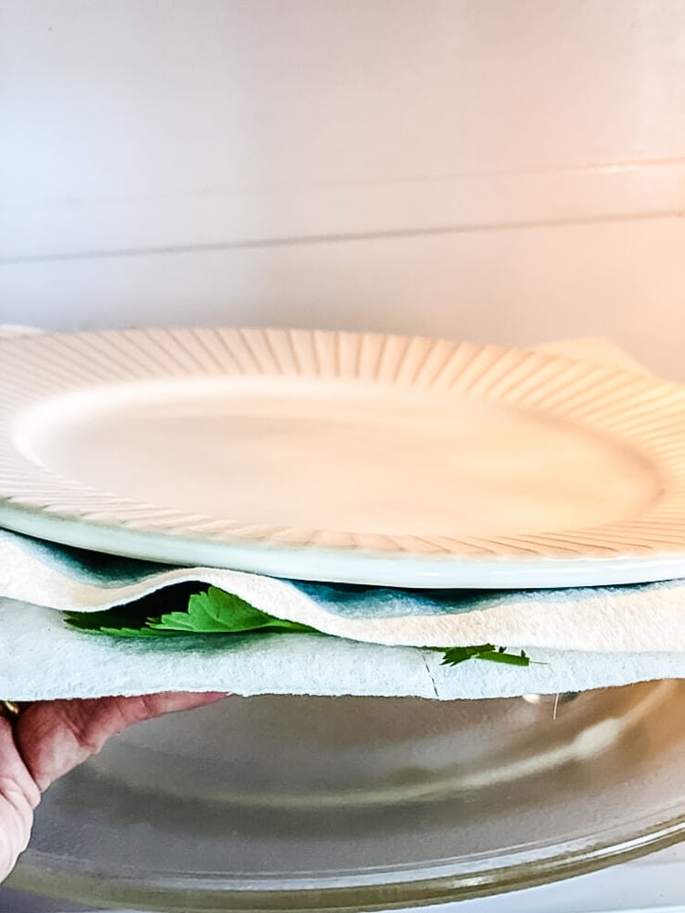 microwave pressing flowers