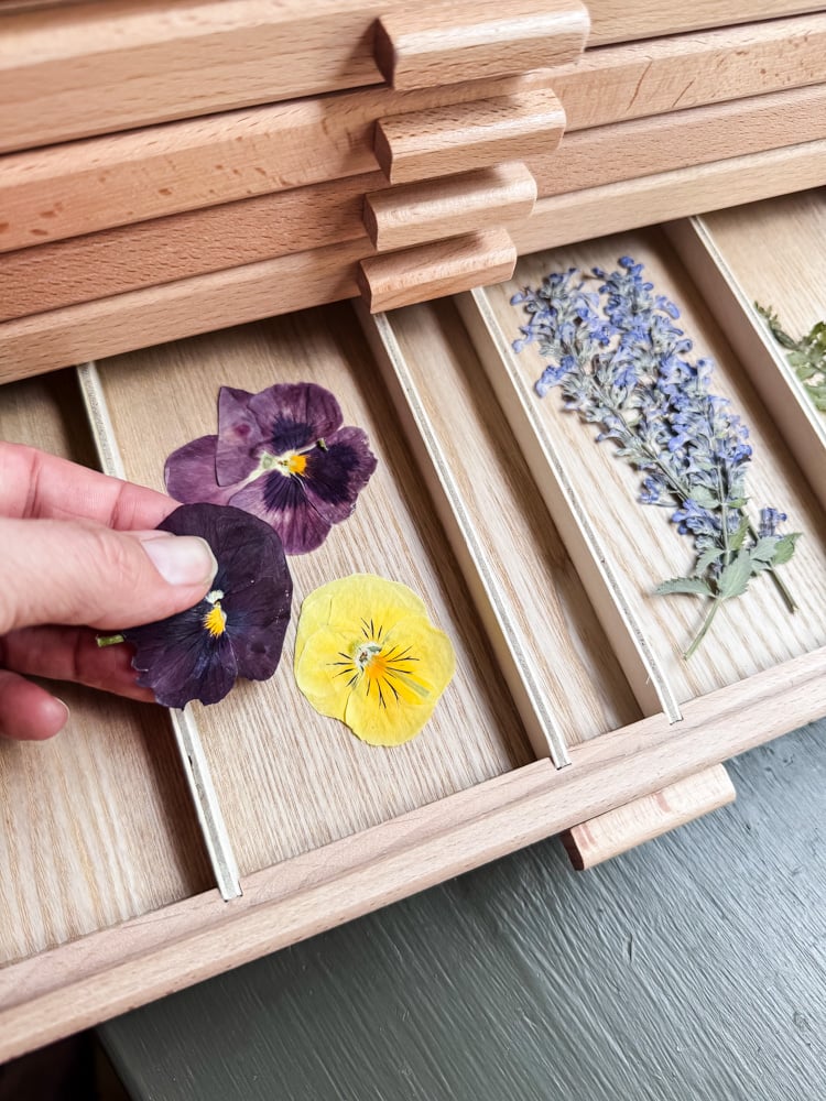 storing pressed flowers in a wooden drawer