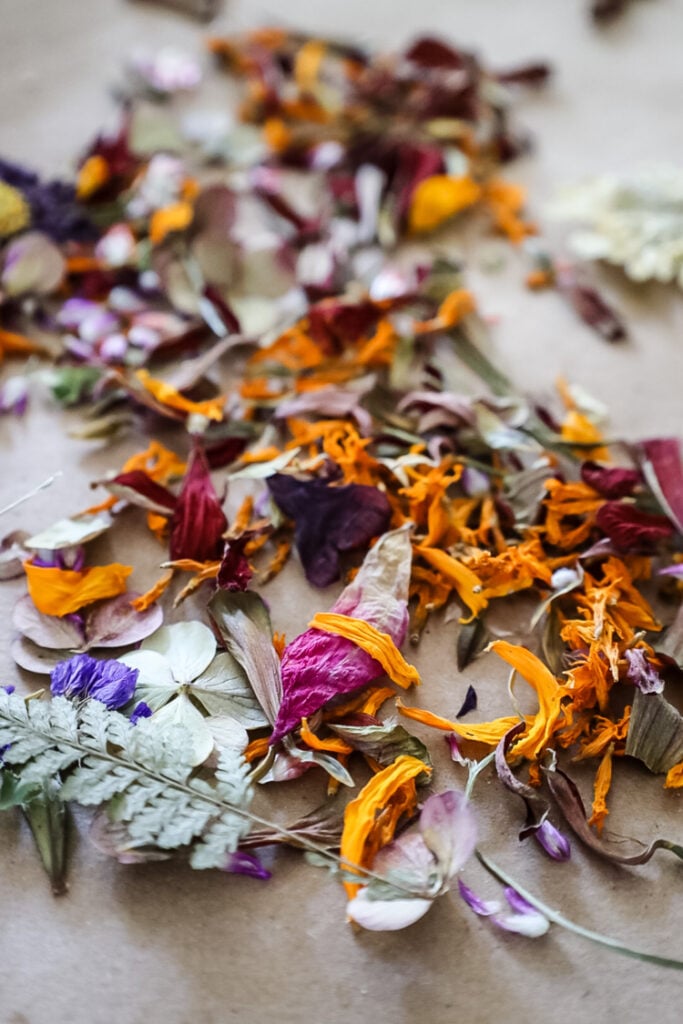 dried flower petals