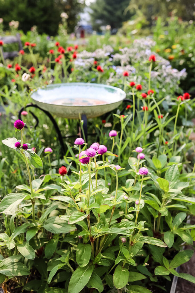 raised garden bed with a birdbath in the center
