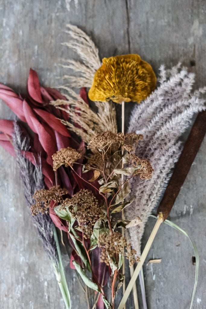 dried grasses, leaves, and pampas