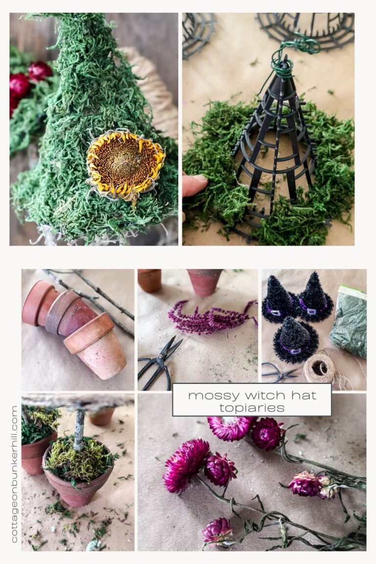 Mossy Witch Hat Topiaries: A Whimsical Fall DIY - Cottage On Bunker Hill