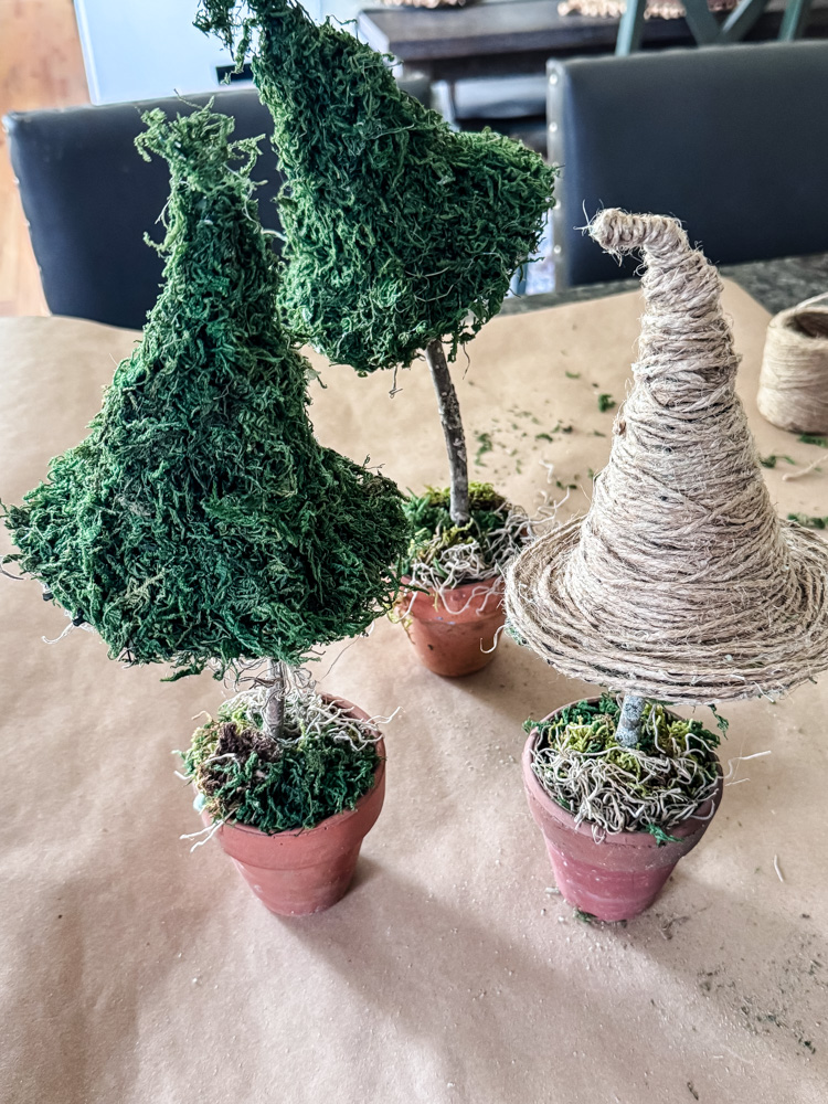 witch hat topiaries
