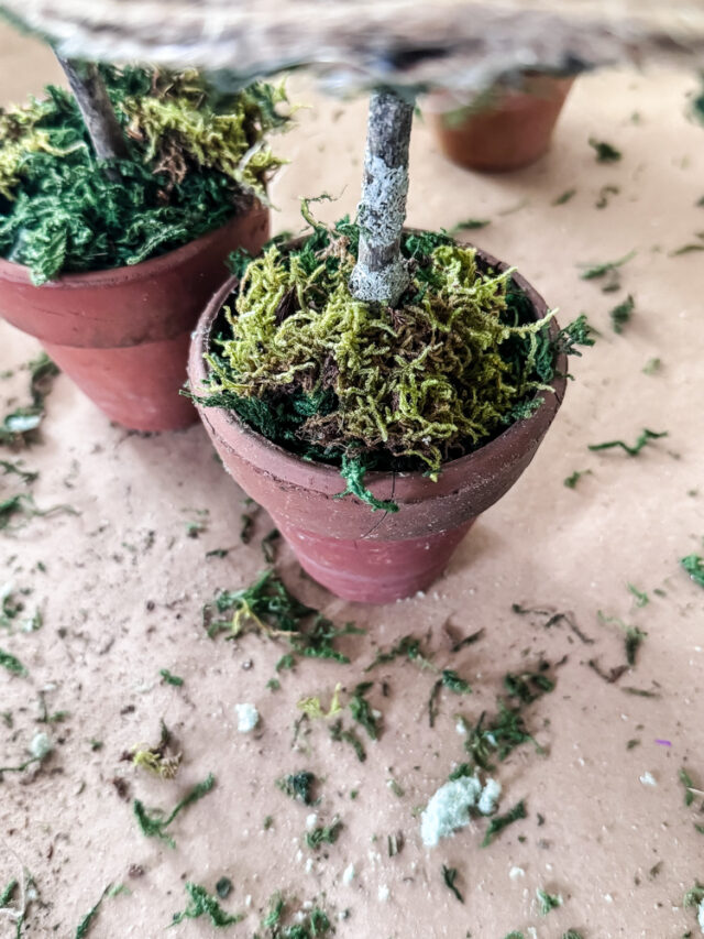 Mossy Witch Hat Topiaries: A Whimsical Fall DIY - Cottage On Bunker Hill