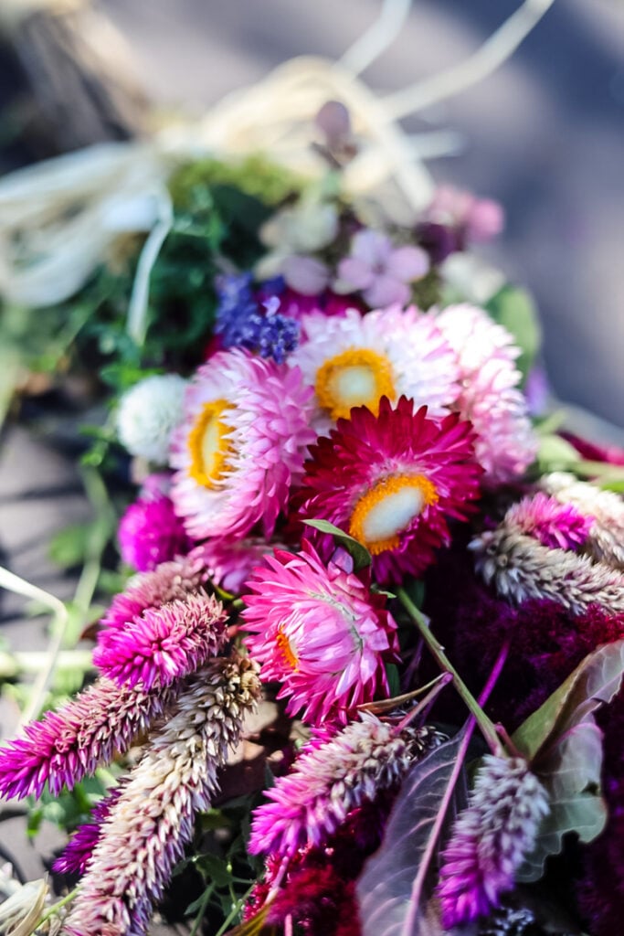 pink strawflowers, celosia, and lavender on a broom