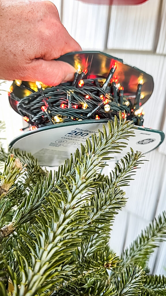 red and white christmas lights