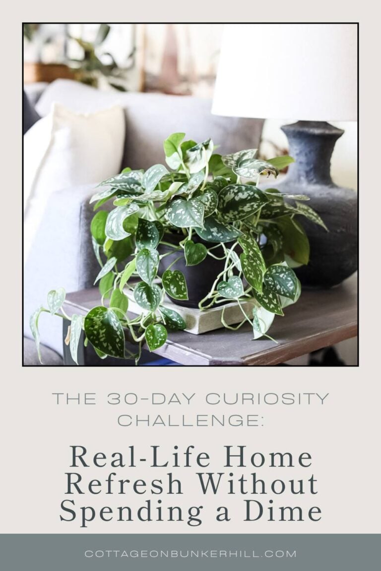 The 30-Day Challenge: Real-Life Home Refresh Without Spending a Dime
