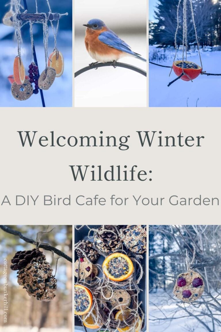 Welcoming Winter Wildlife: A DIY Bird Cafe for Your Garden