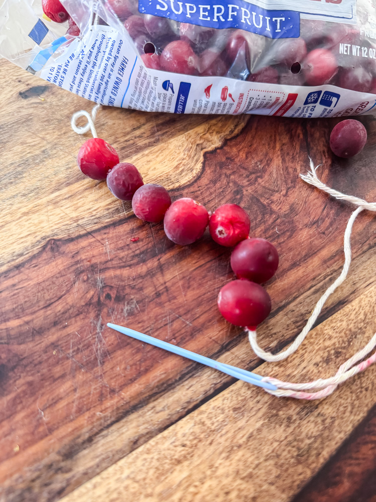 stringing fresh cranberries to make a bird treat