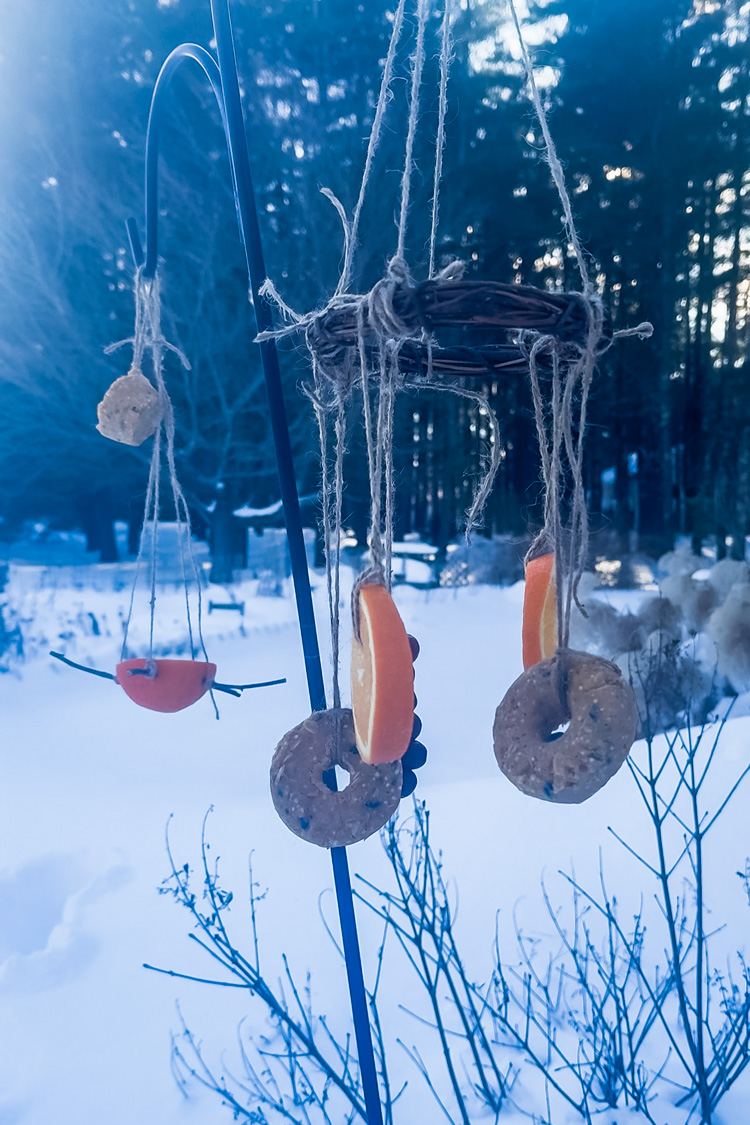 diy bird feeders hanging outside