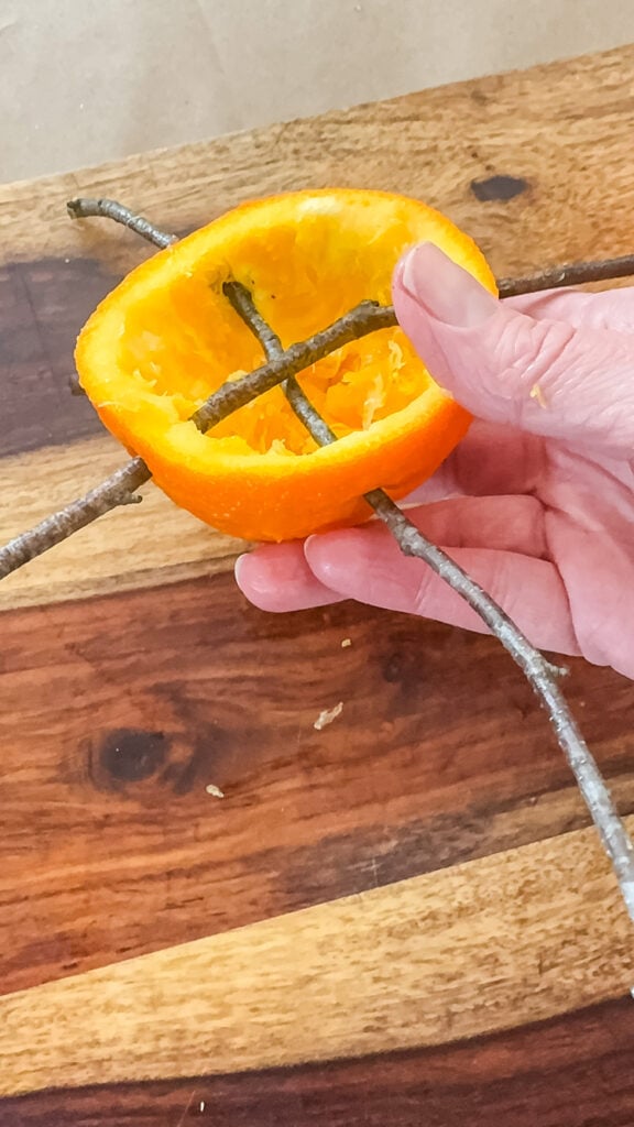 diy orange bird feeder