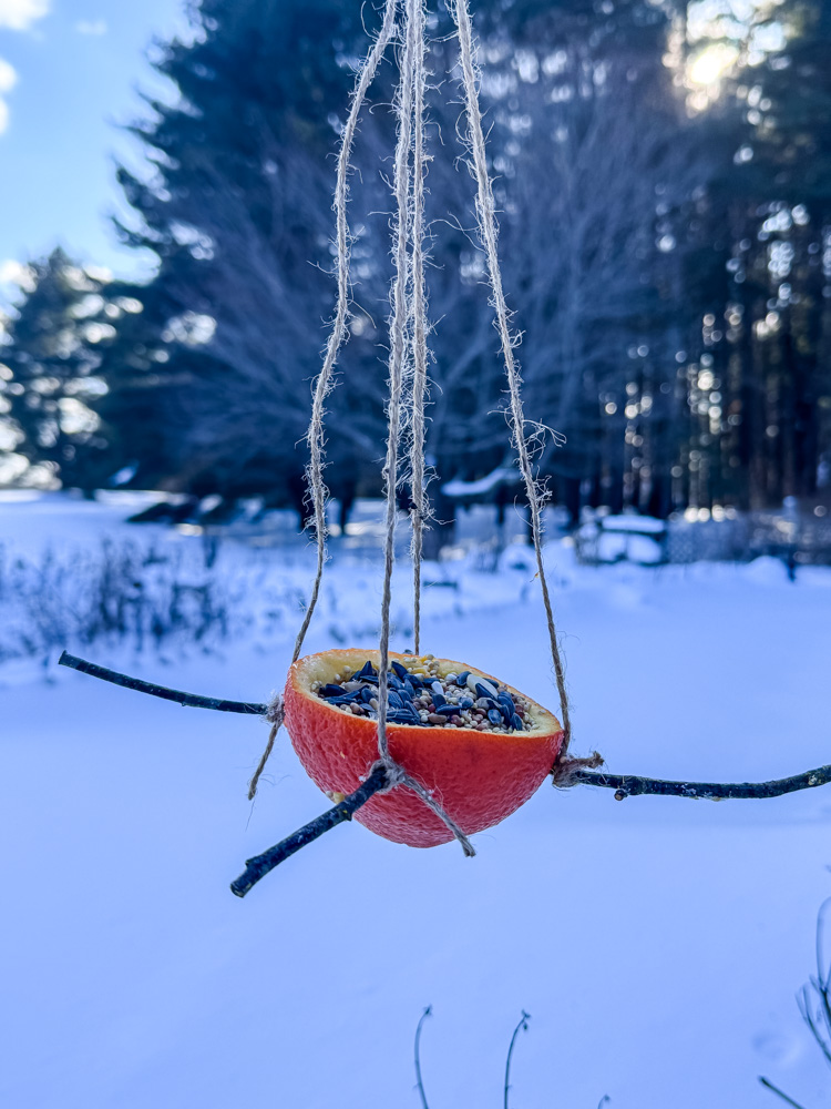 diy orange bird feeder hanging outside where it's snowy