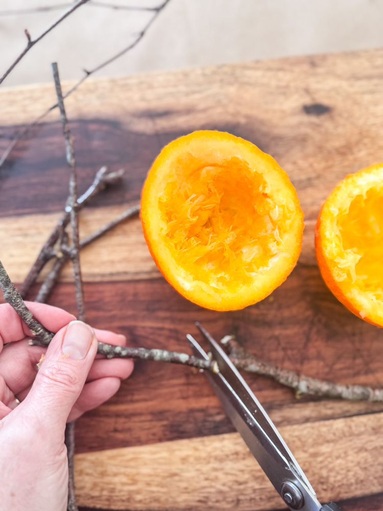 cutting a branch for a diy orange bird feeder