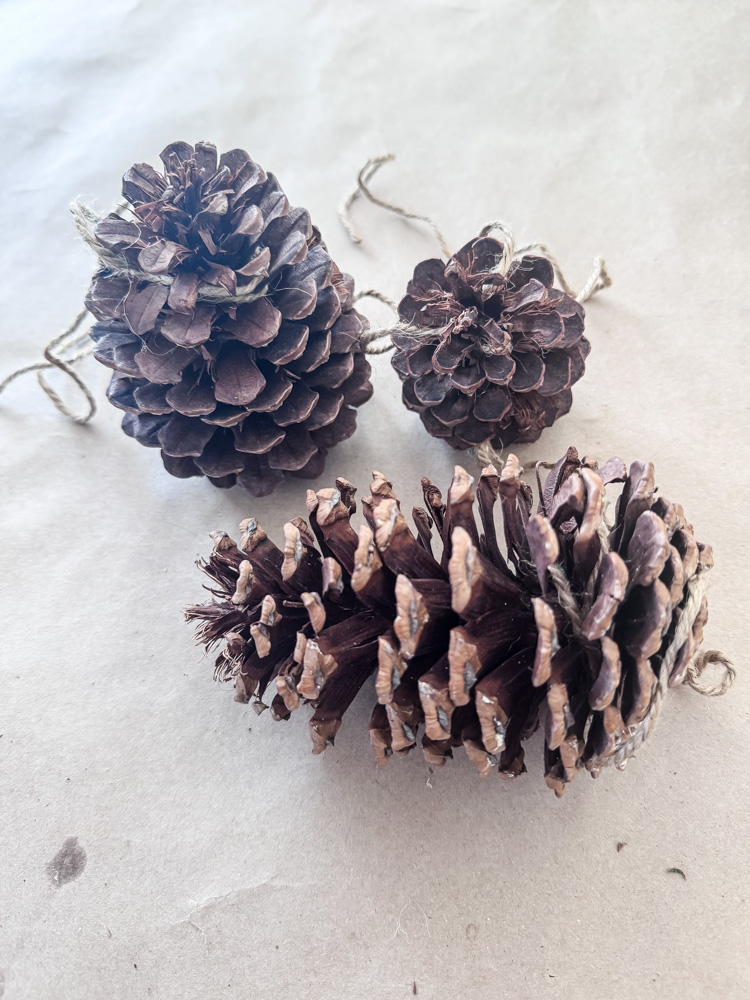 pinecones with jute hangers