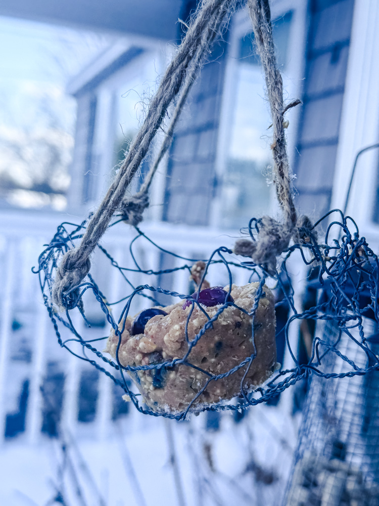 suet basket made with chicken wire