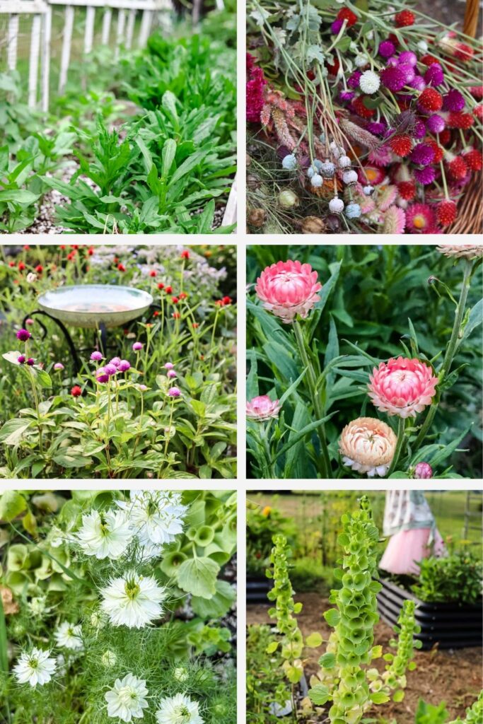 a collage of flower garden photos