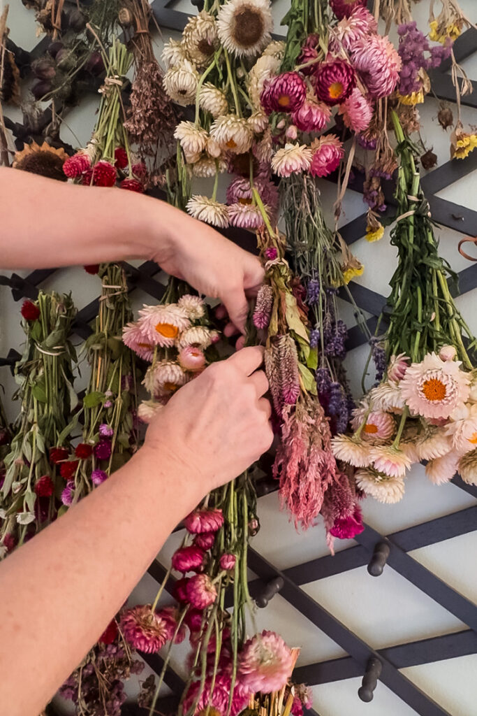hanging bunches of flowers on a rack to dry