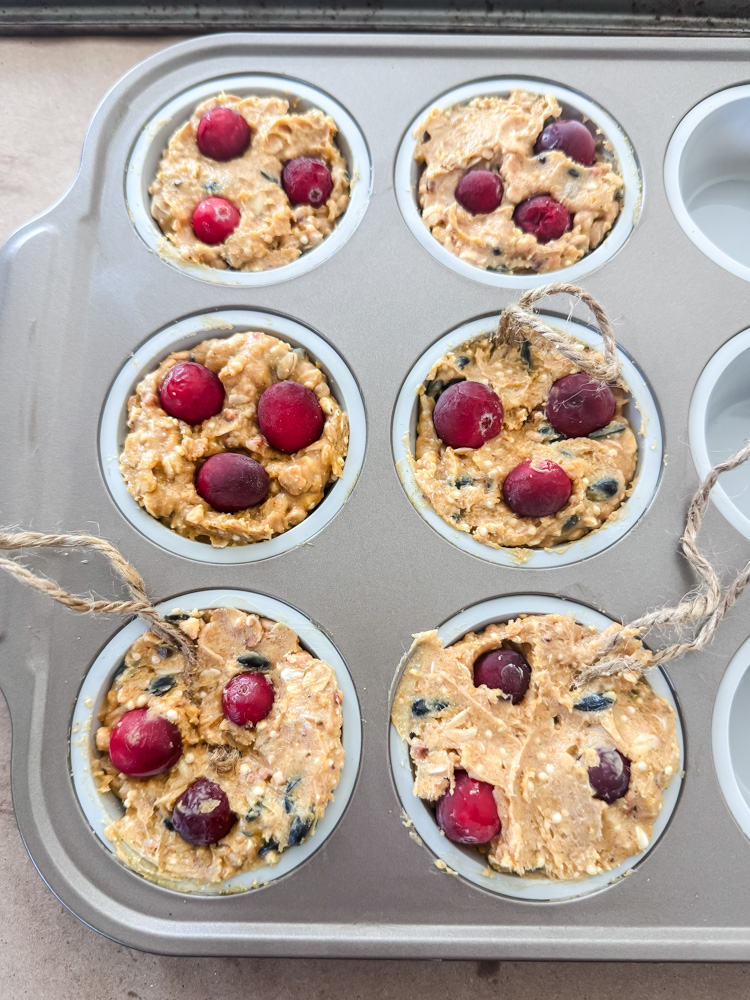 homemade suet cakes setting in a silicone muffin tray