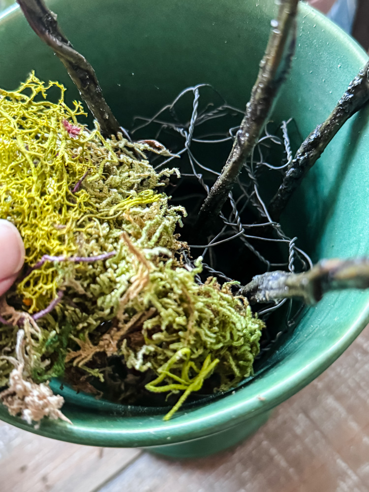 adding moss to a vase