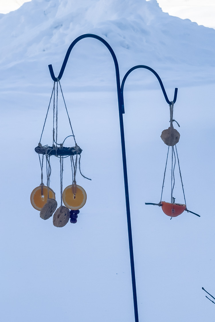 bird feeders in the snow