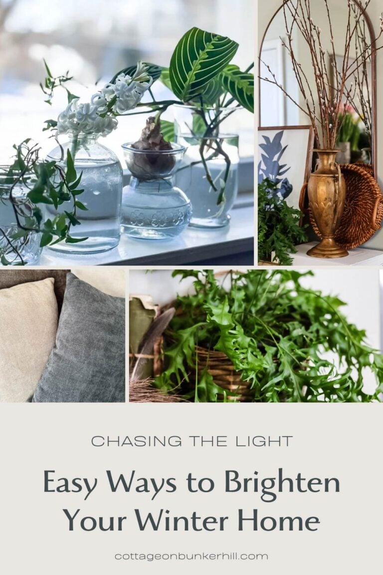 Chasing the Light: Easy Ways to Brighten Your Winter Home
