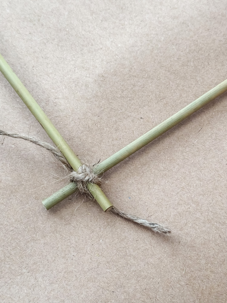 bamboo being secured with twine