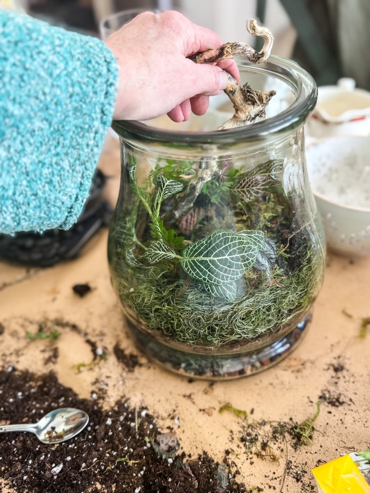 building a terrarium