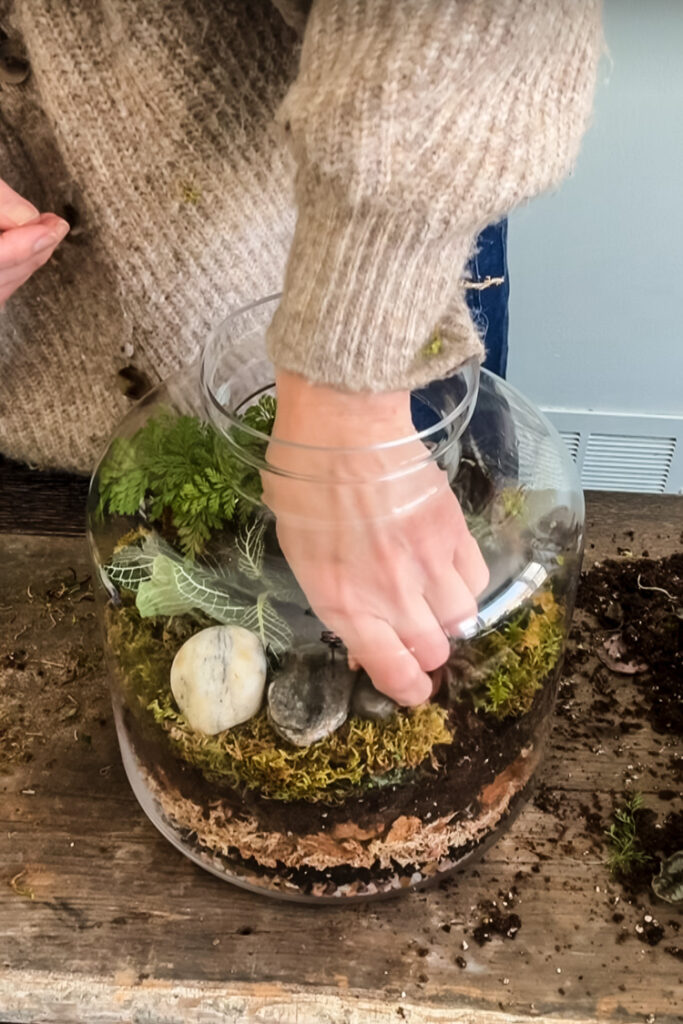 adding rocks to terrarium