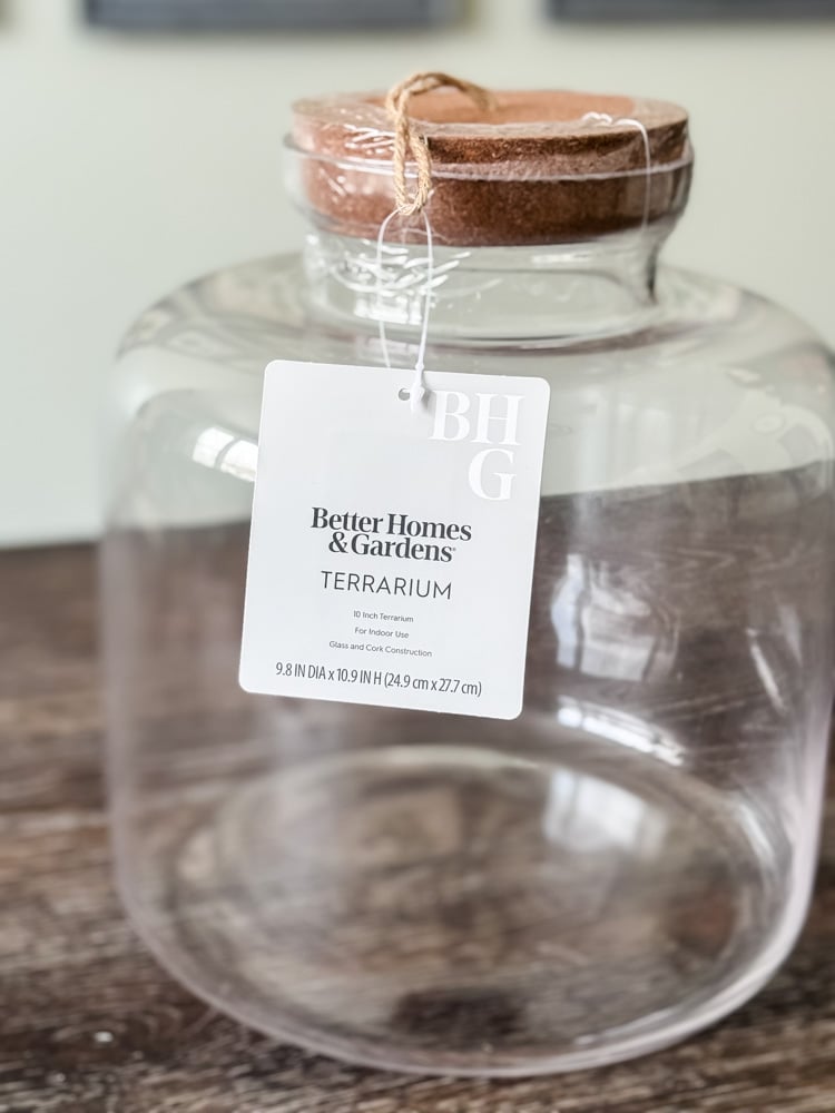bhg glass terrarium container