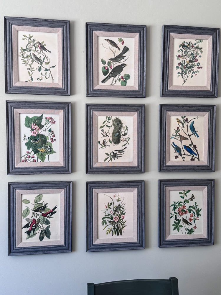gallery wall with bird prints