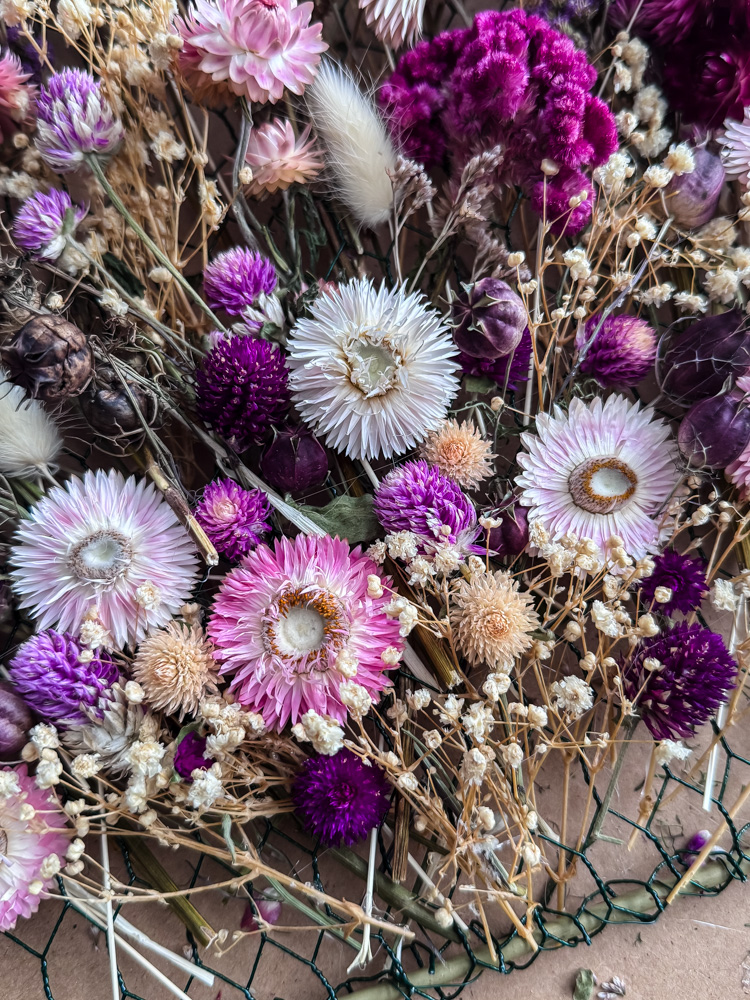 colorful dried flower close up piciture