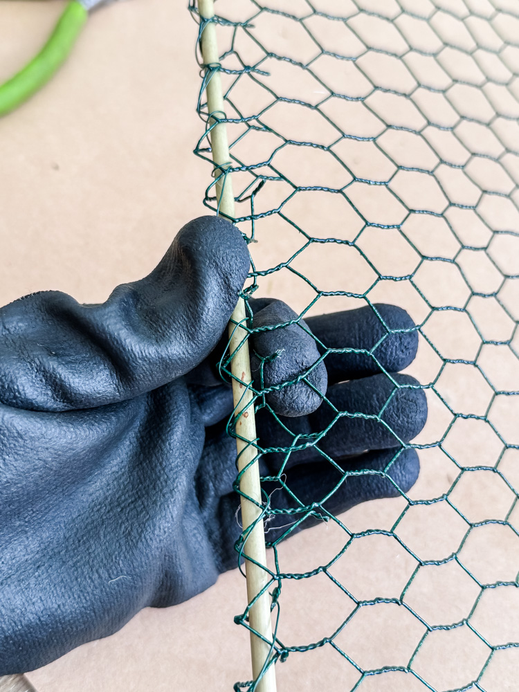 gloved hand holding chicken wire