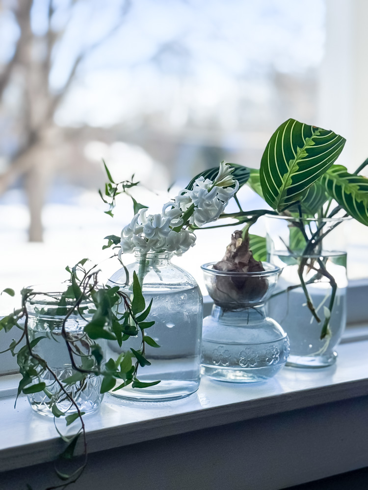 glass vases on windowsill