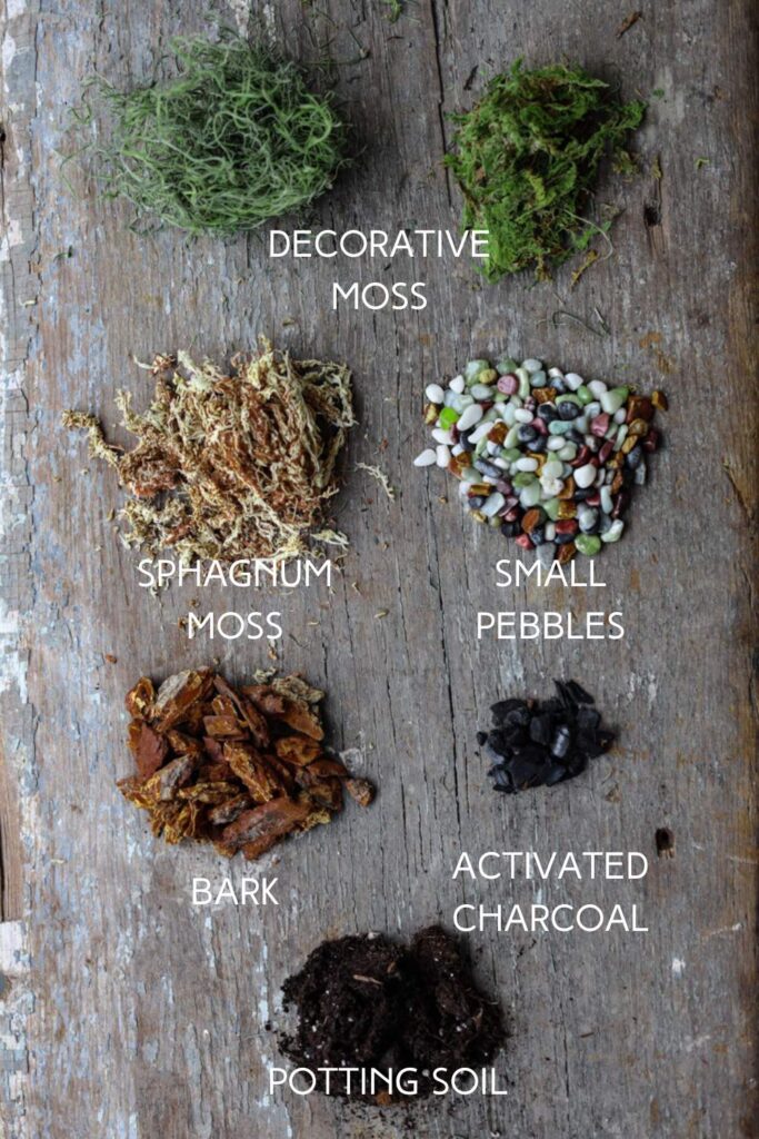 layering materials used for a closed terrarium