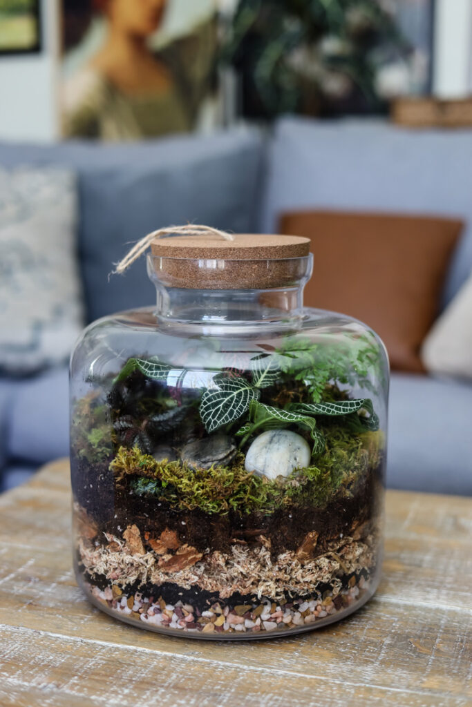 glass closed terrarium on coffee table