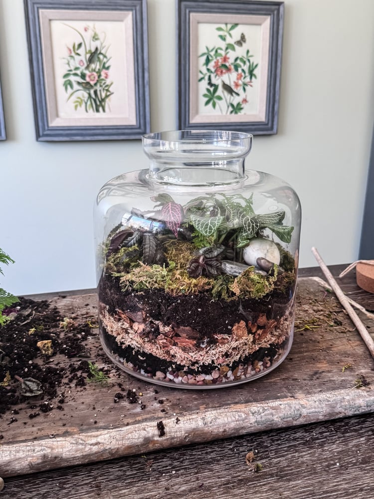 tall glass terrarium on a table.