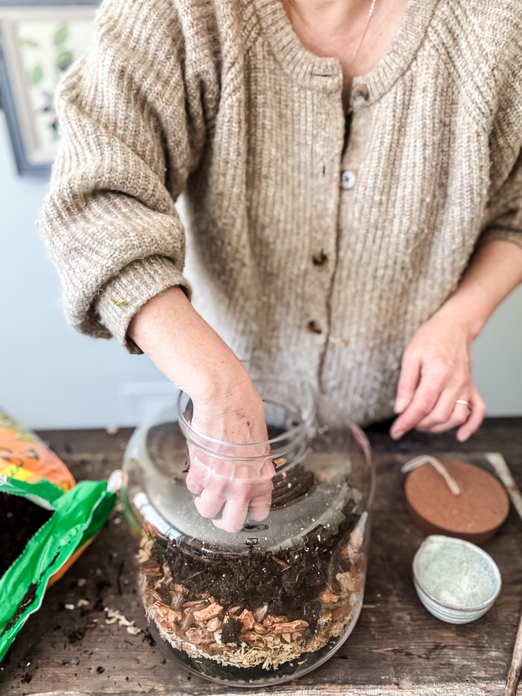 adding potting soil to terrarium