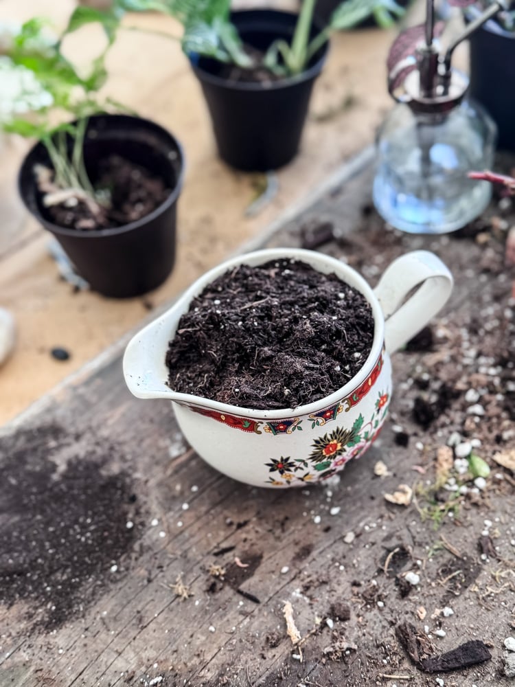 a china creamer being turned into a planter