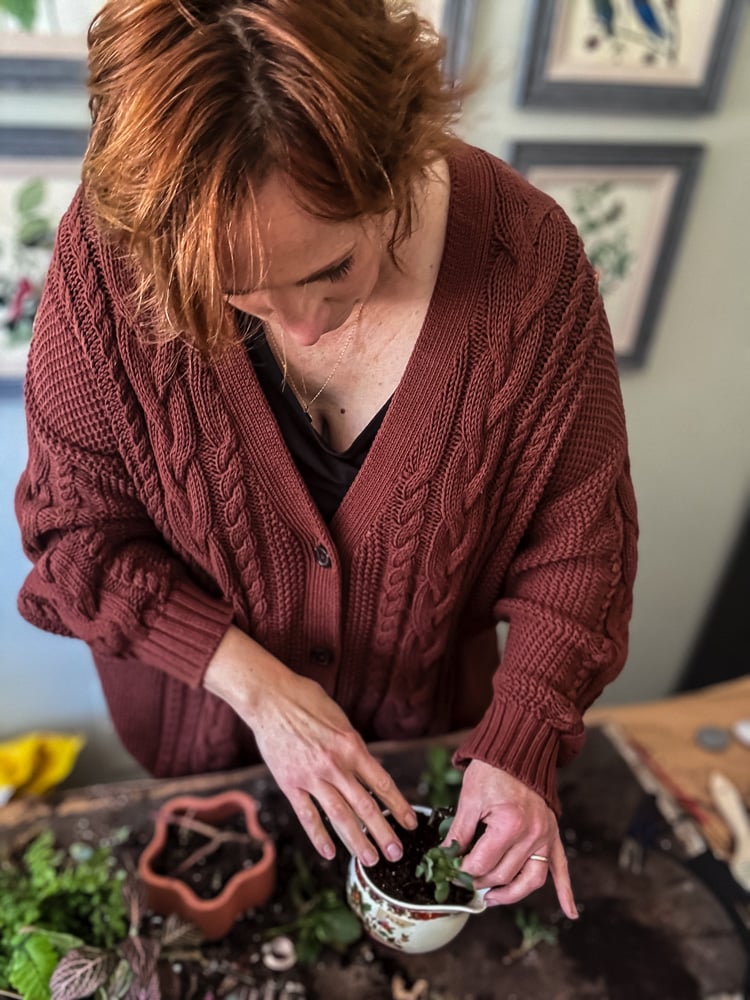 Jennifer Howard making a succulent planter