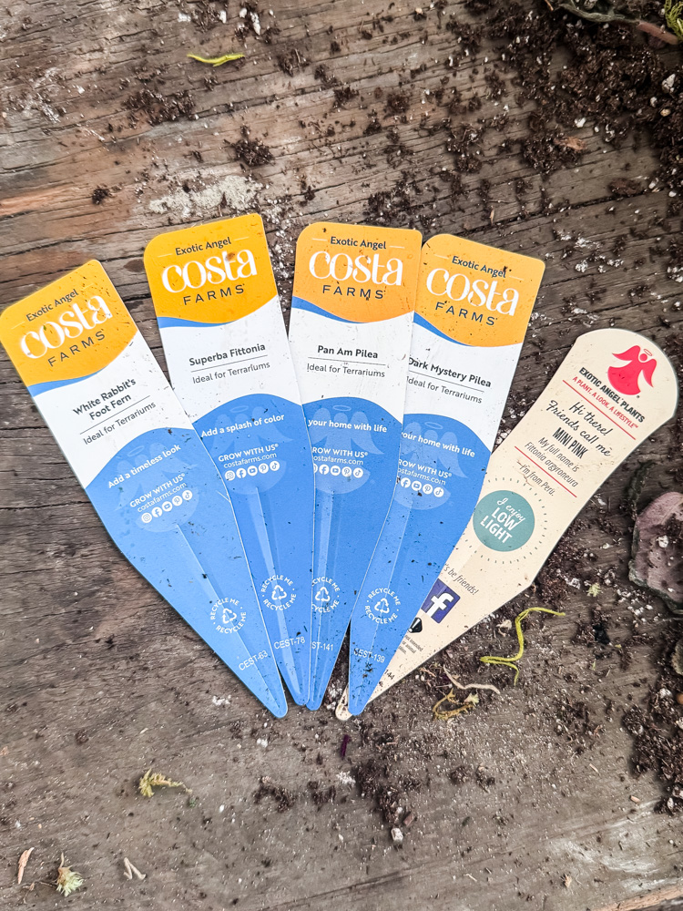 plant tags of plants being used in a closed terrarium