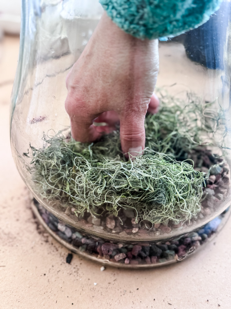 adding moss to a terrarium vase