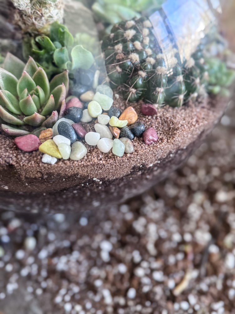 pebbles in a terrarium