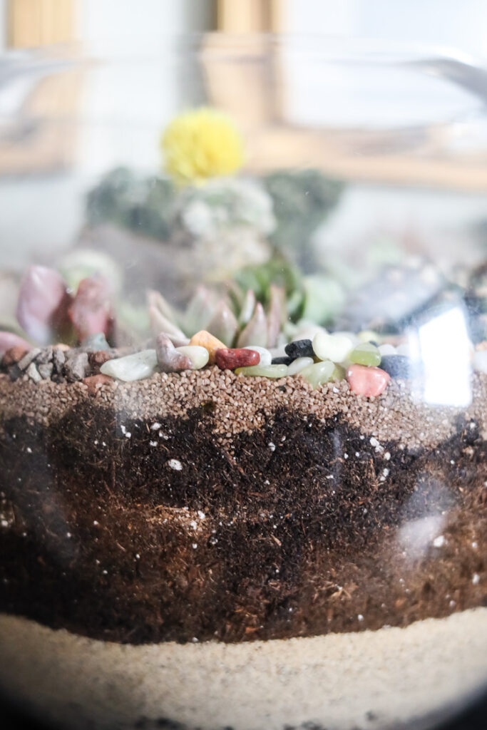 detail photo of a terrarium