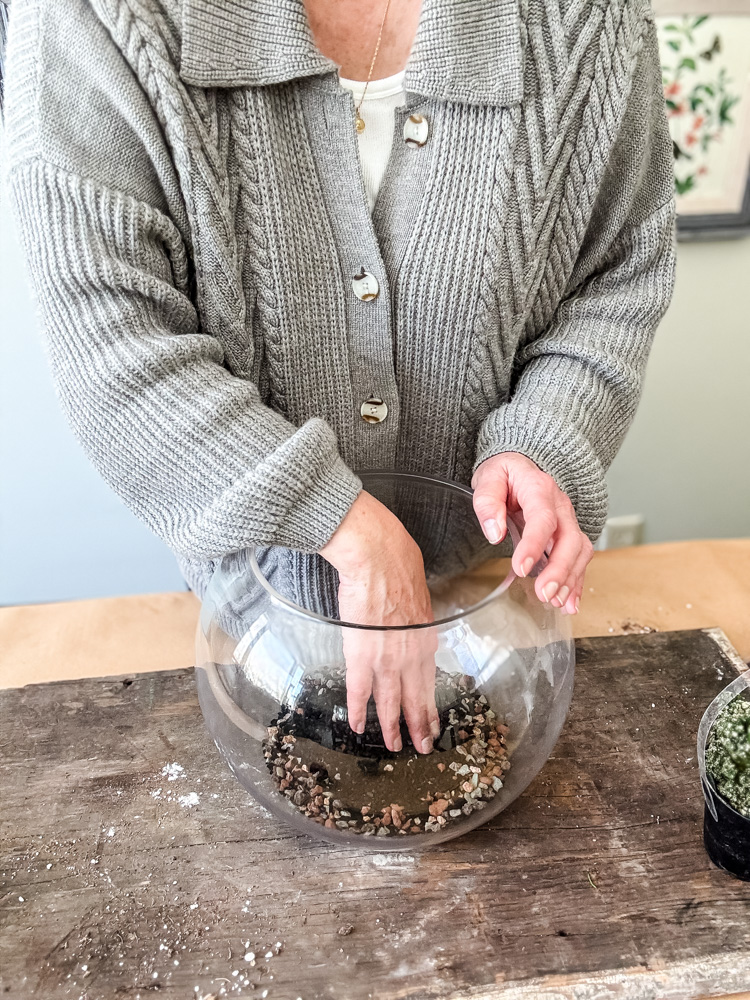 making a terrarium