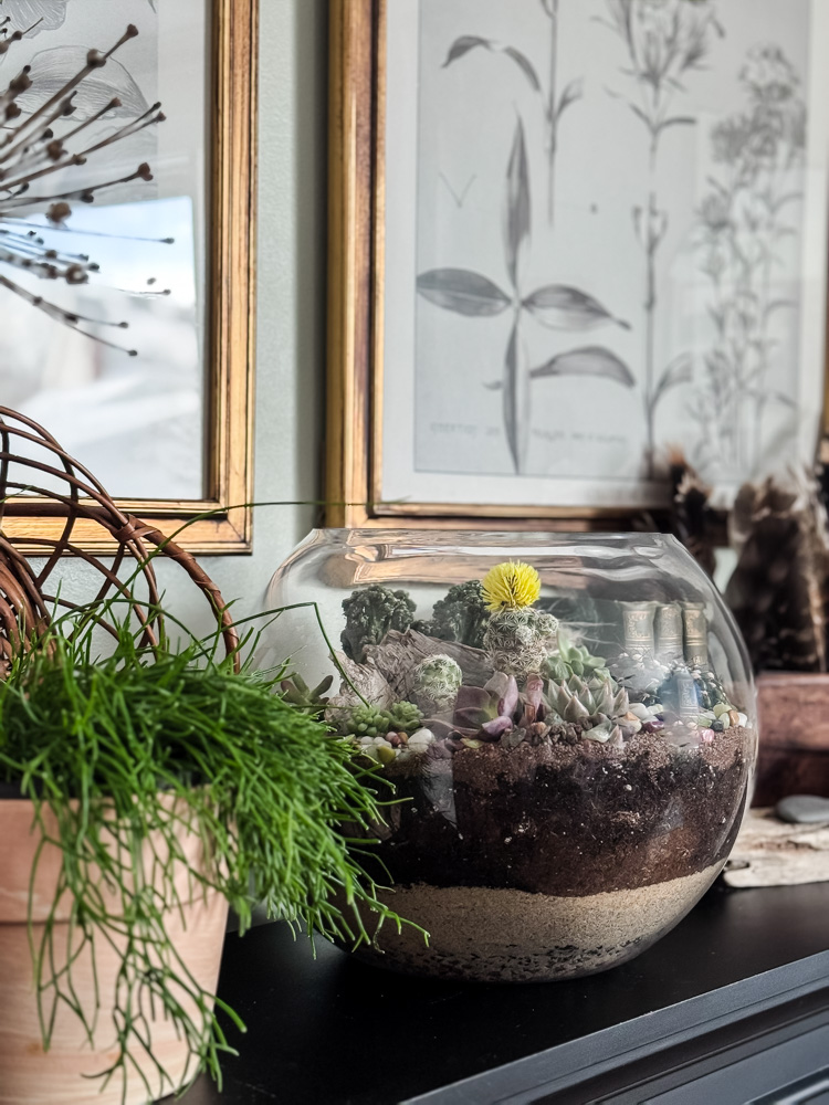 a mantel with a big succulent terrarium