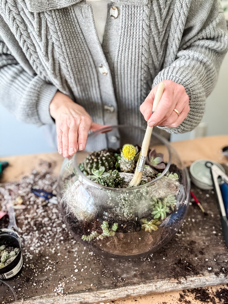 making a cacti and succulent terrarium