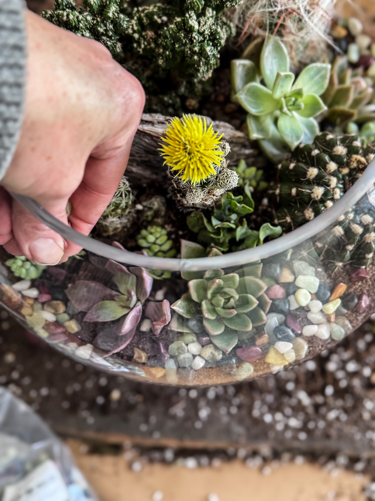 building a terrarium. A hand dropping pebbles in the bowl.