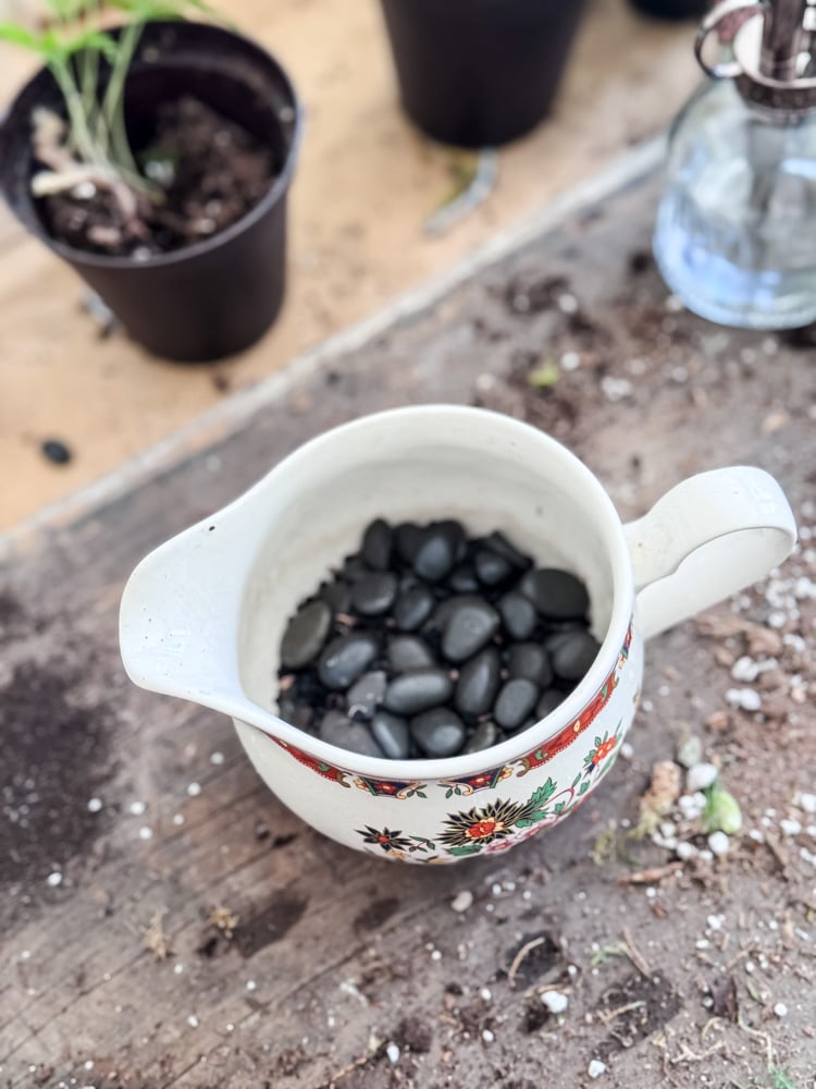 making a planter from a china creamer