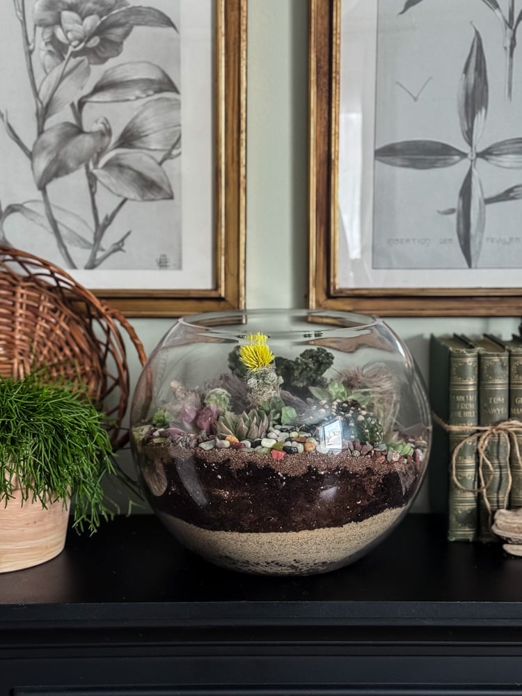 mantel with a terrarium
